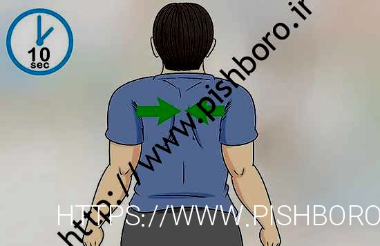 نهنگ های گوژپشت را در خانه با چند مرحله ساده درمان کنید