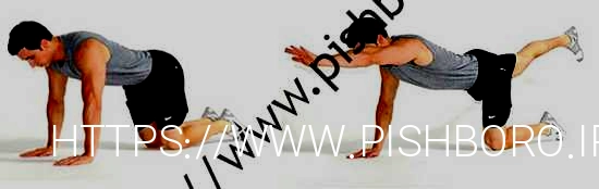 نهنگ های گوژپشت را در خانه با چند مرحله ساده درمان کنید