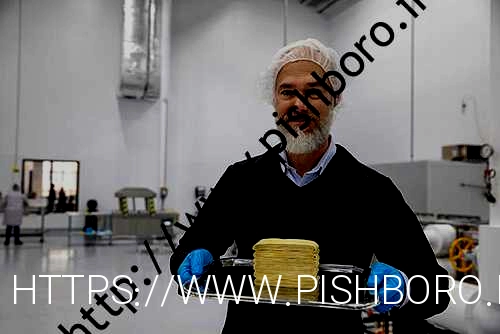 تولید همبرگر و ناگت سبزیجات از میکروب های آب