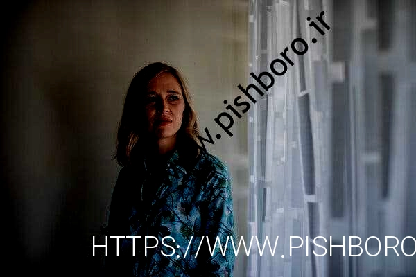 آنی فارمر، یکی از اولین متهمان شناخته شده جفری اپستین، روز جمعه در دادگاه گیسلین ماکسول شهادت داد.