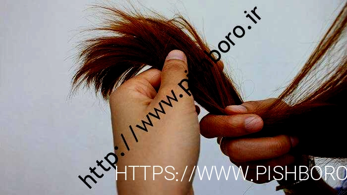 ۵ ترفند برای داشتن موهای سالم
