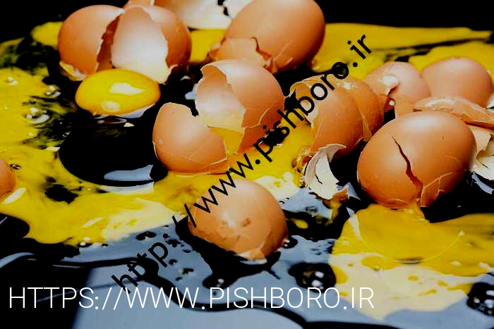بایس این ۷ نکته، در خانه همه فن حریف باشید