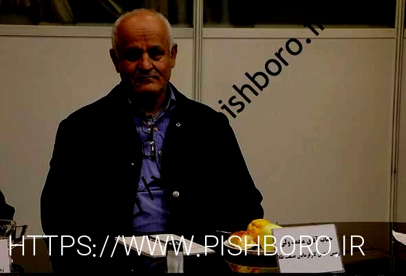 پیش بینی بازار سکه و طلا تا پایان سال/ آیا قیمت ها افزایش می یابد؟ پیش بینی بازار سکه و طلا تا پایان سال/ آیا قیمت ها افزایش می یابد؟
